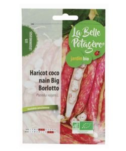 Haricot coco nain Big Borlotto - DLUO 08/25 BIO, 50 g
